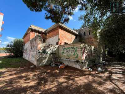 Ma di tutti quegli alberi, a causa dell�urbanizzazione dell�area, � rimasto ben poco